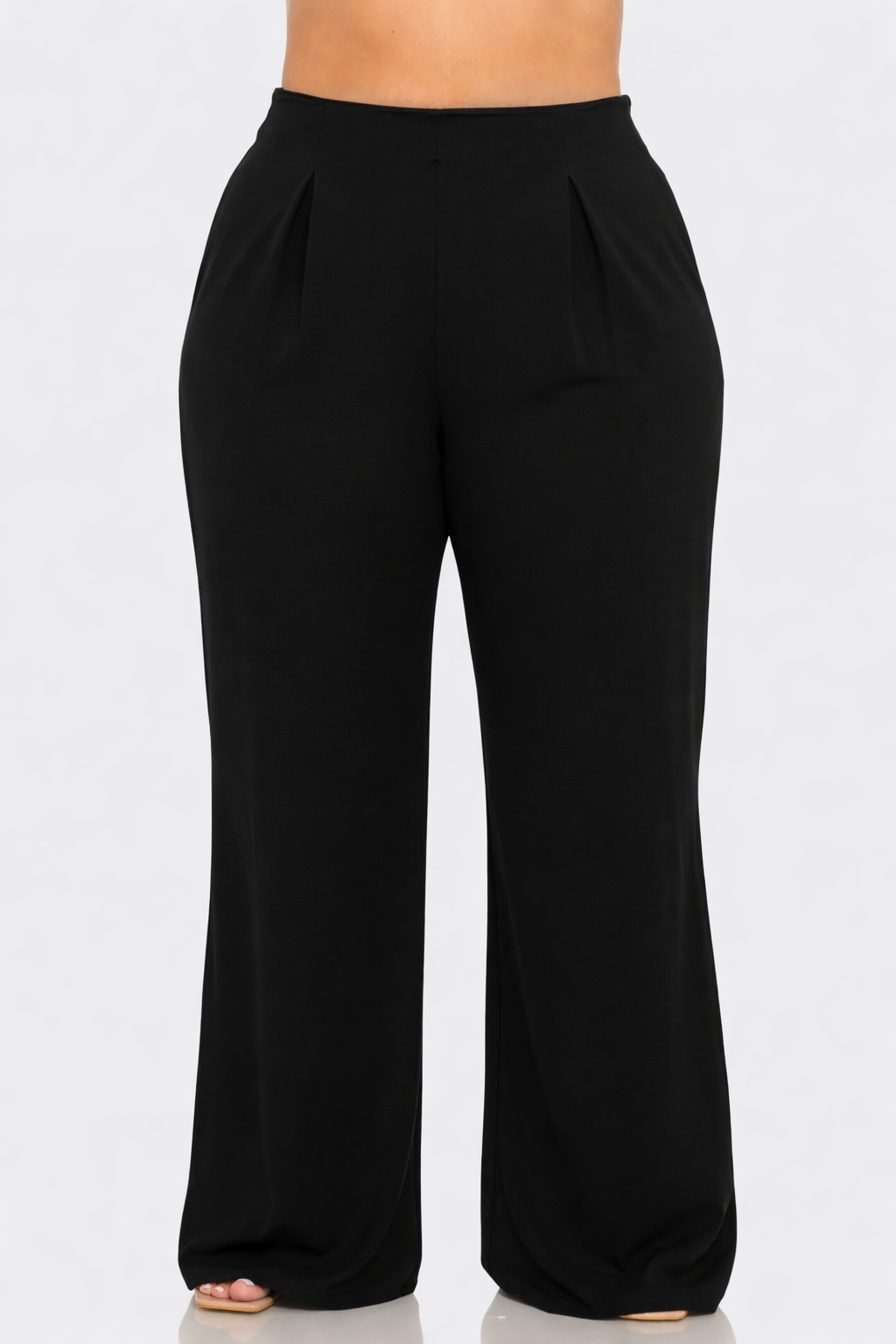 Plus Size Front Pleated Side Zipper Wide Leg Pants
