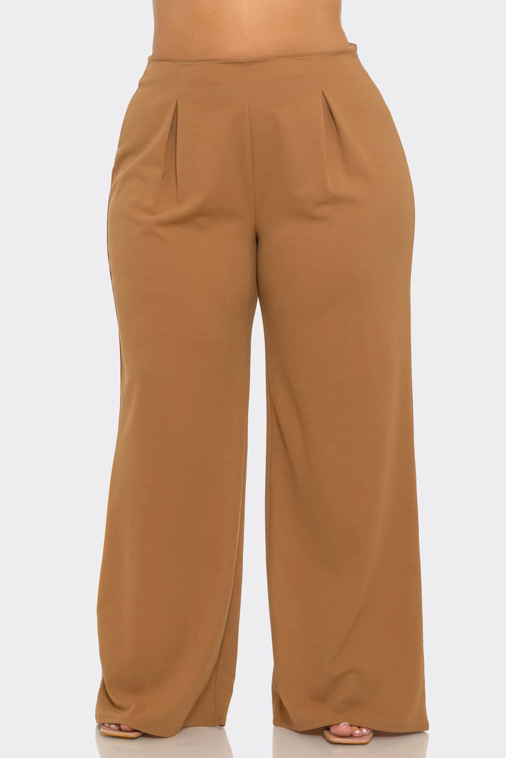 Plus Size Front Pleated Side Zipper Wide Leg Pants