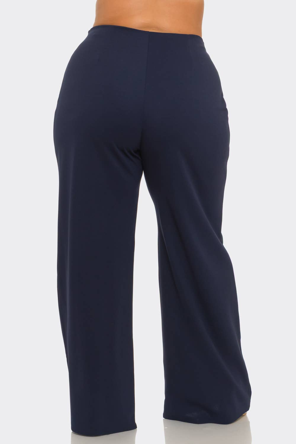 Plus Size Front Pleated Side Zipper Wide Leg Pants