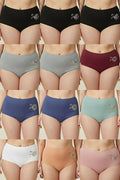 Youmita Flower Embroidery Mama Panty-532-PTY-12-C03