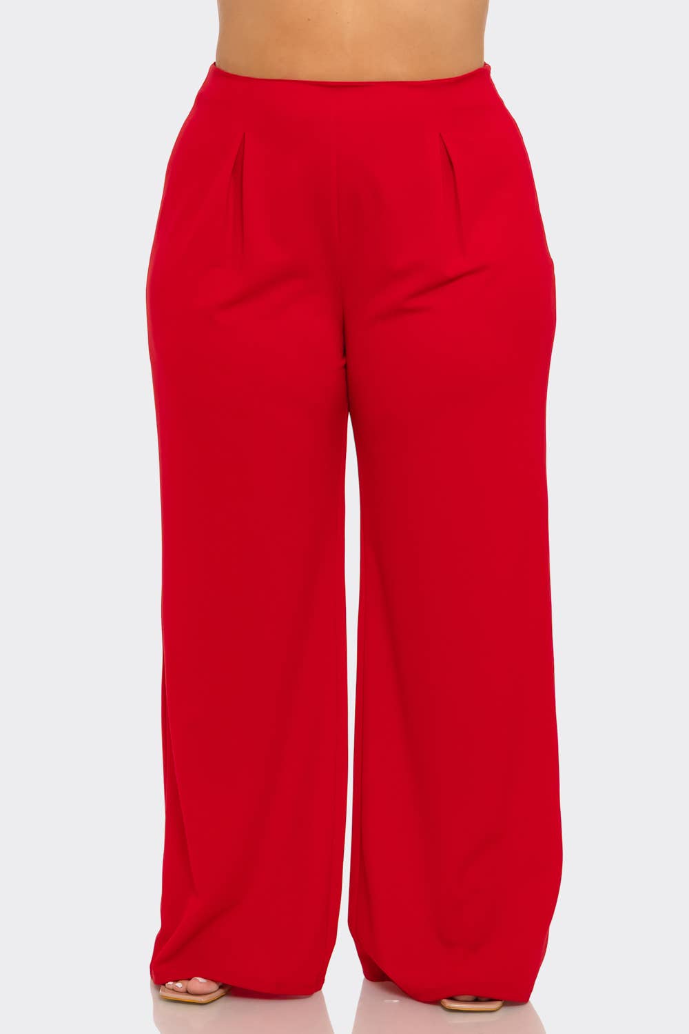 Plus Size Front Pleated Side Zipper Wide Leg Pants