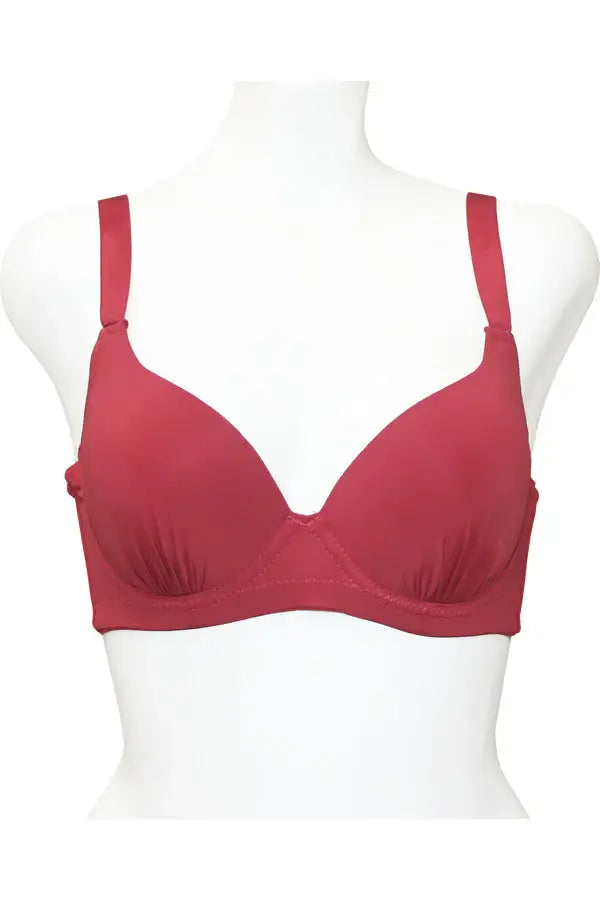 6 Pcs Assorted Colors B/C/D/DD/DDD/F Cup Full Coverage Bra