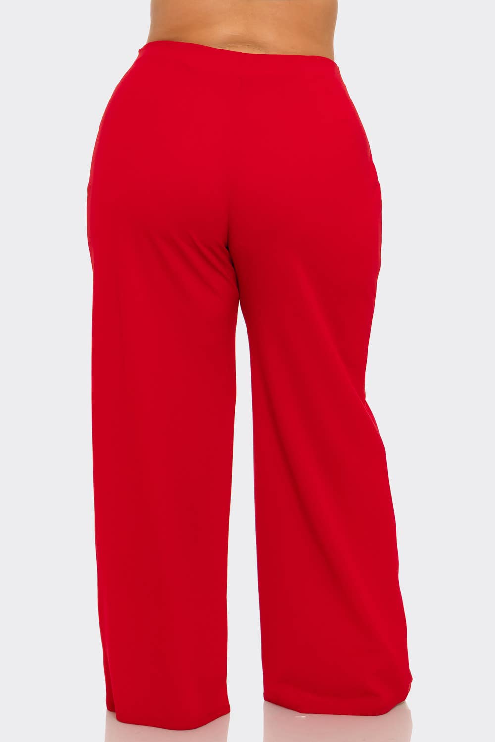 Plus Size Front Pleated Side Zipper Wide Leg Pants